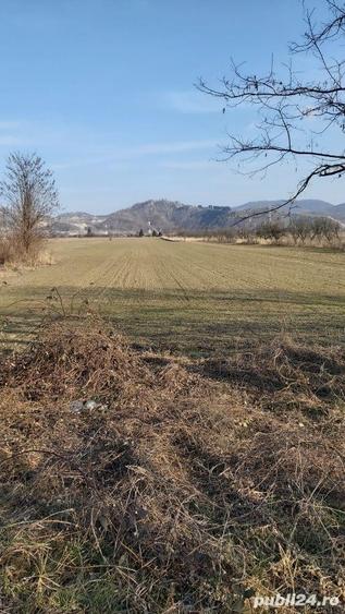 Teren de 7000 mp, în Gura Vitioarei