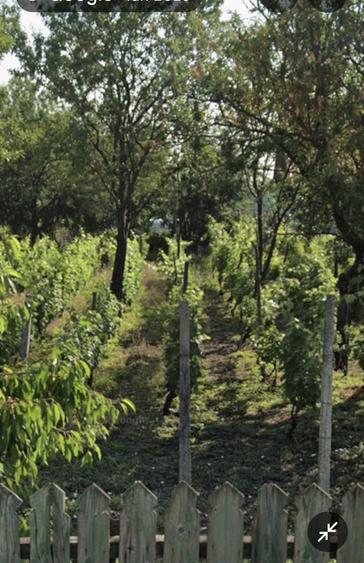 Casă cu 3 camere în Săhăteni