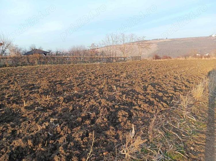 Teren de 500 mp, în Valea Lupului