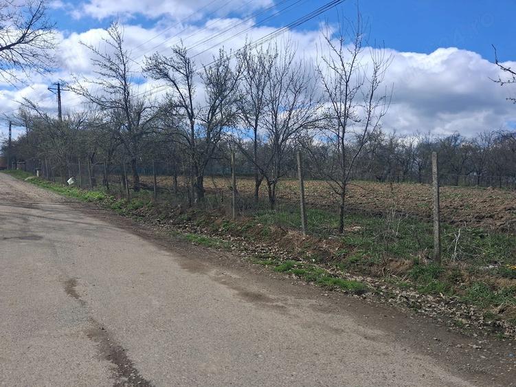 Teren de 2800 mp, în Botești