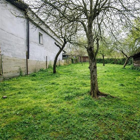 Casa cu 850 mp gradina, Centrul Istoric - Schei, Brasov - 7