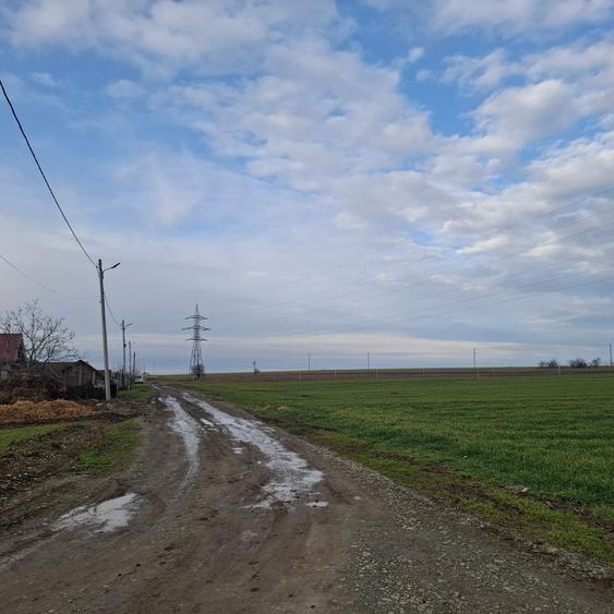 Teren agricol extravilan de 3125 mp, în Corbu