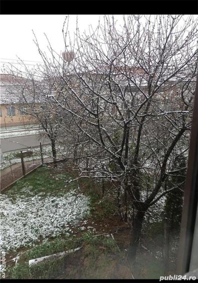 Casă cu 5 camere în Biharia