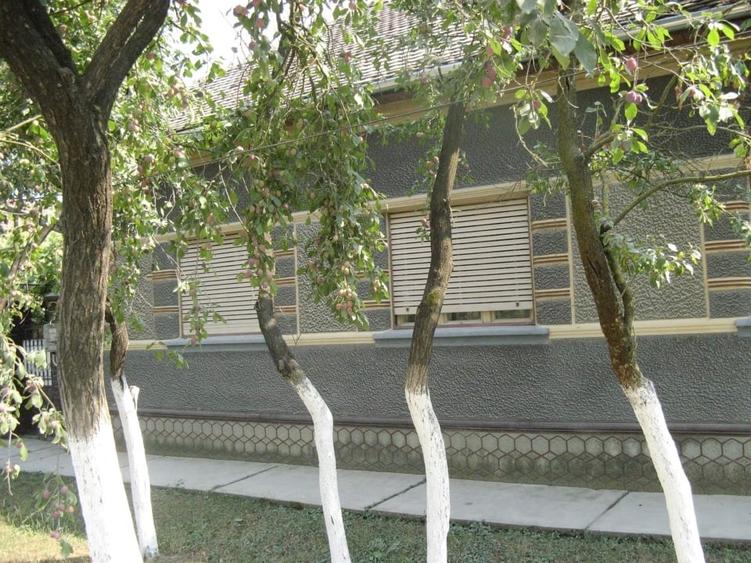 Casă individuală cu 5 camere cu Teren 1440 Mp în Central