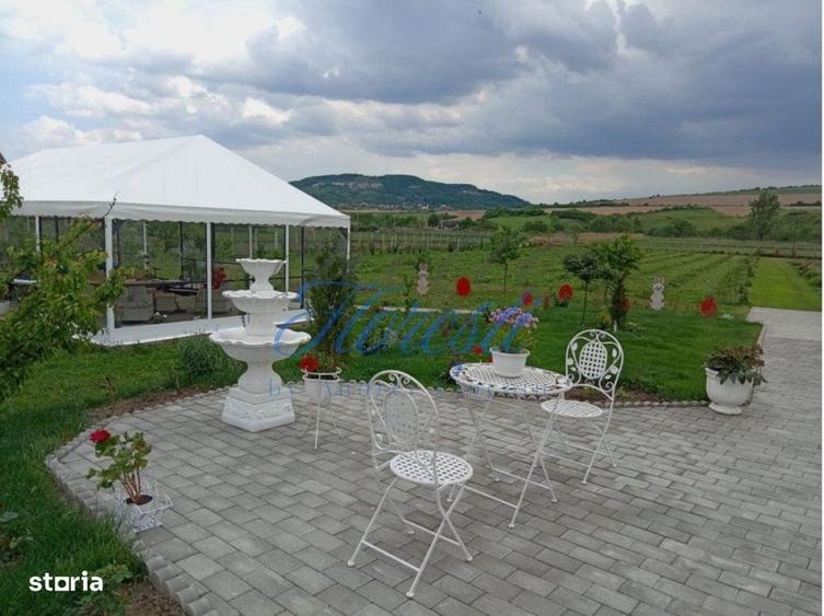 Casă cu 3 camere în Vișea