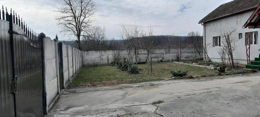 Casă cu Teren 11000 Mp în Pluta