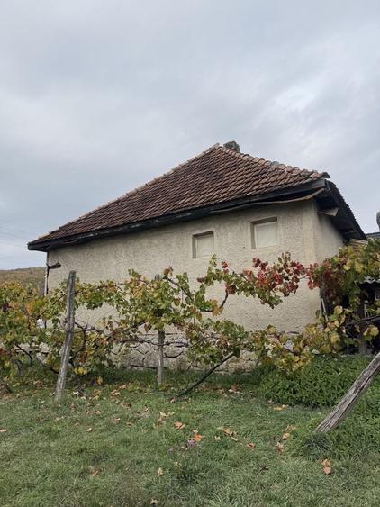 Casă cu 3 camere în Central