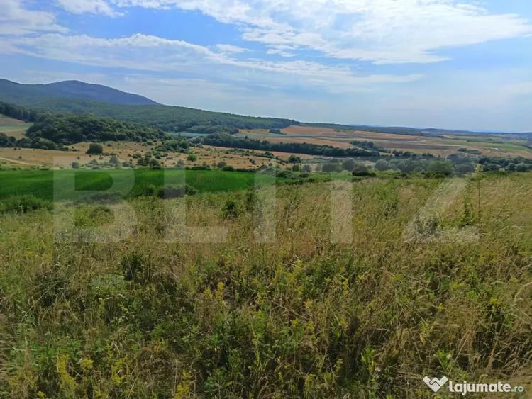 Teren de 6500 mp, în Central
