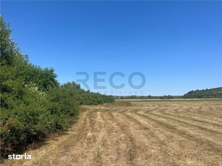 RECO Teren extravilan Holod 27400 mp - 6
