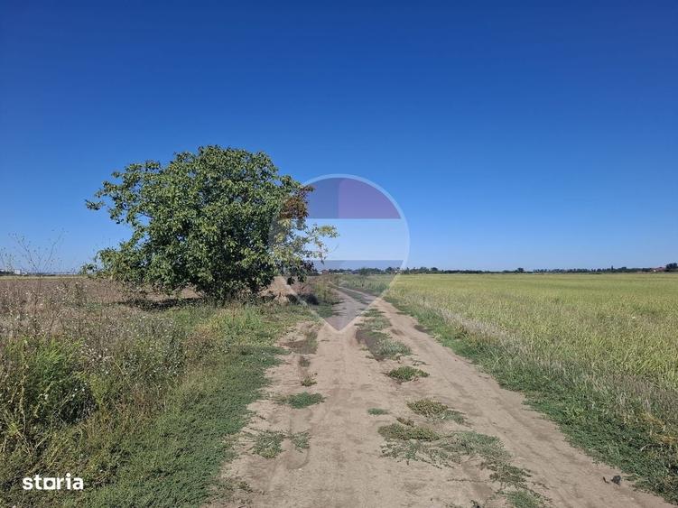 Vanzare teren extravilan 5.000mp - Pantelimon - 4