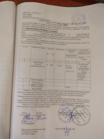 Teren de 5000 mp, în Berindești