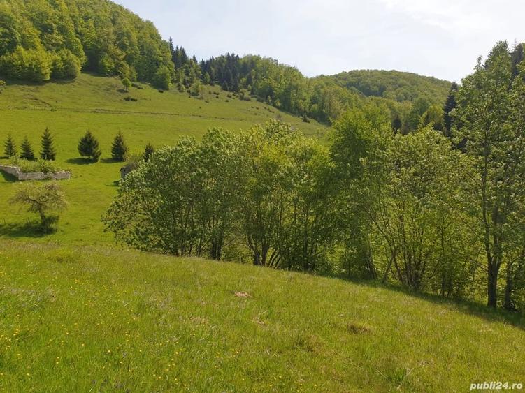 Teren de 1000 mp, în Dâmbovicioara