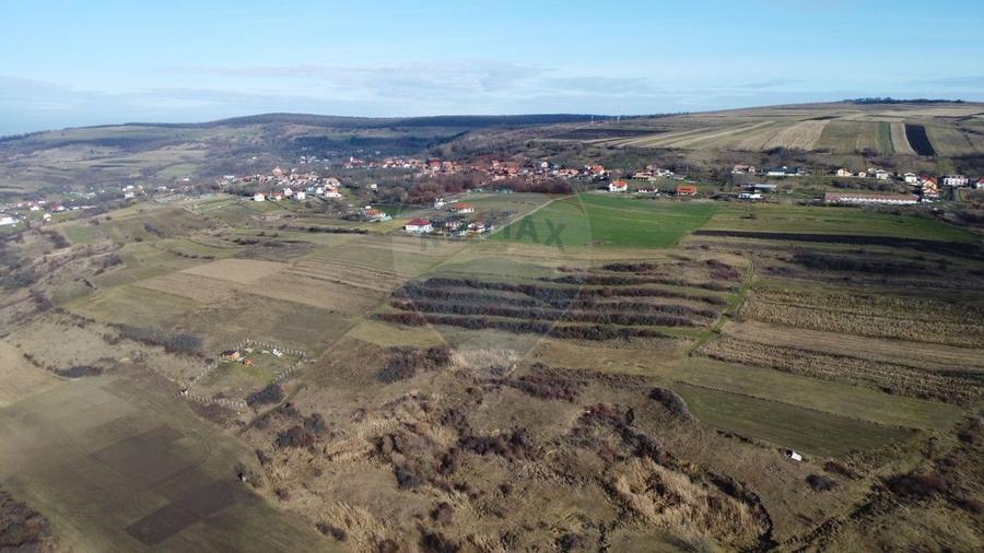 Teren agricol extravilan de 68403 mp, în Popești