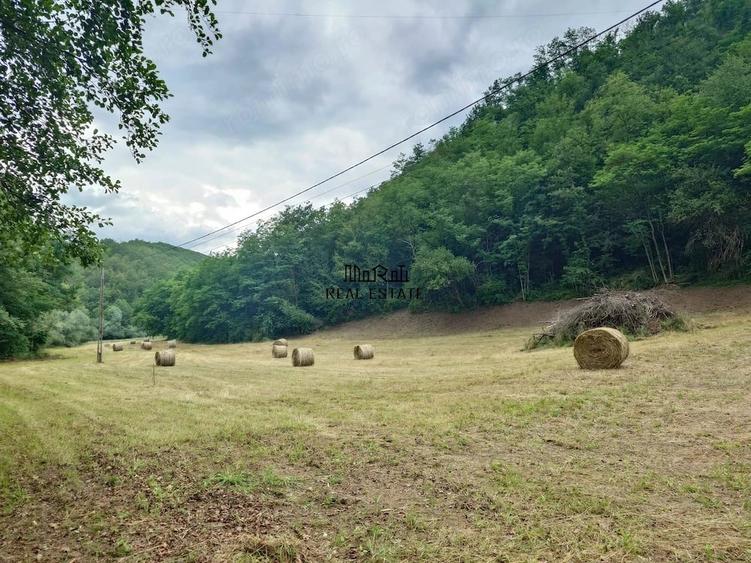 Teren de 5800 mp, în Podele