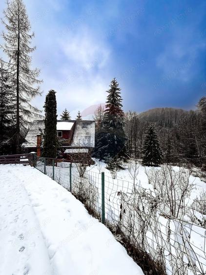 Teren de 1794 mp, în Lunca (Moroeni)