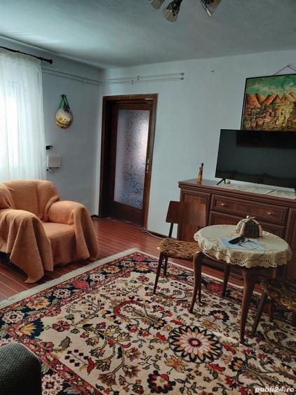 Casa si spatiu comenrcial de vazare - 8