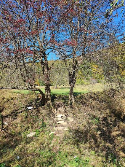 Teren agricol extravilan de 18800 mp, în Babarunca