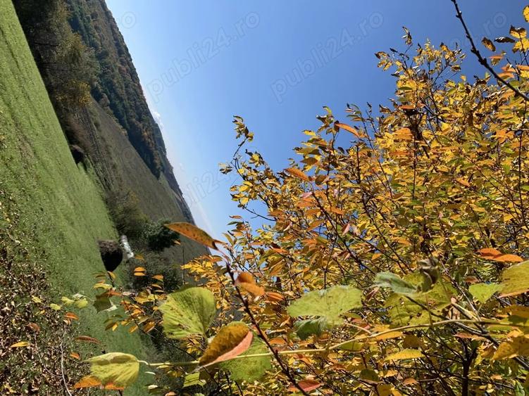Casă cu 3 camere cu Teren 30 Mp în Silivașu de Câmpie