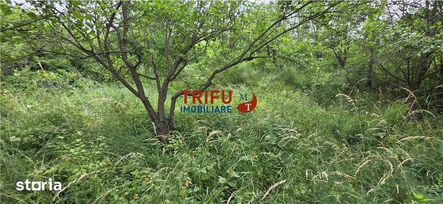 Teren de vanzare in Valea Popii cu toate utilitatile - 2