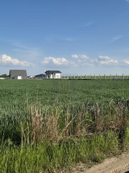 Teren agricol intravilan de 497 mp, în Pădurișu