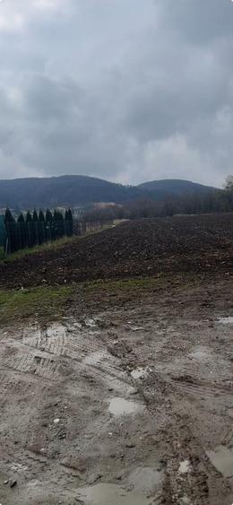 Teren Construcții intravilan de 6700 mp, în Albești