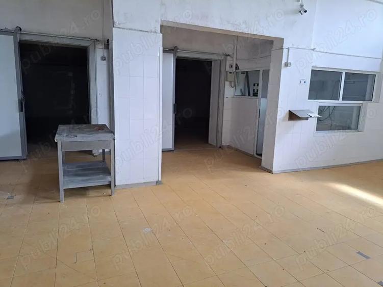 Spațiu comercial, de 50 mp, în Carani