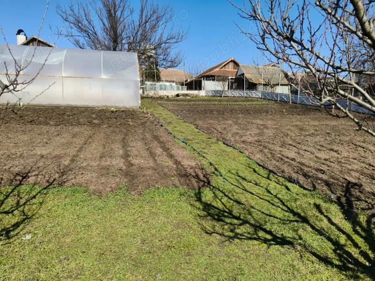 Casă cu Teren 3800 Mp în Redea