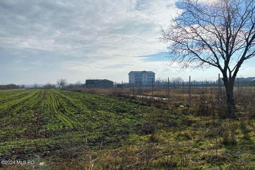 Teren Construcții intravilan de 2409 mp, în Afumați