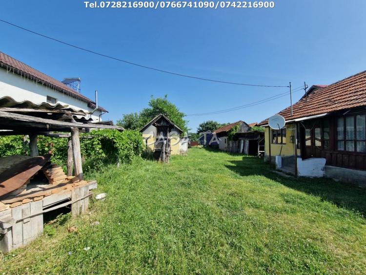 Casă individuală cu 3 camere cu Teren 4721 Mp în Dănești
