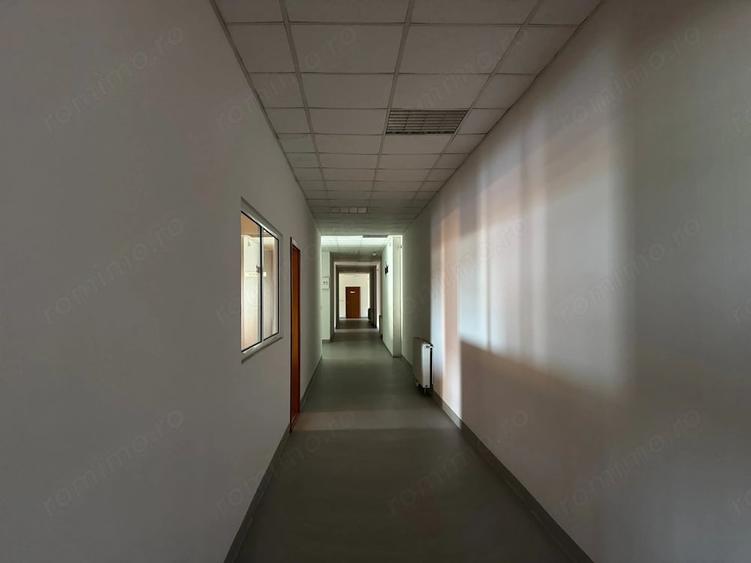 Spațiu comercial, de 3,650 mp, în Dumbrăvița