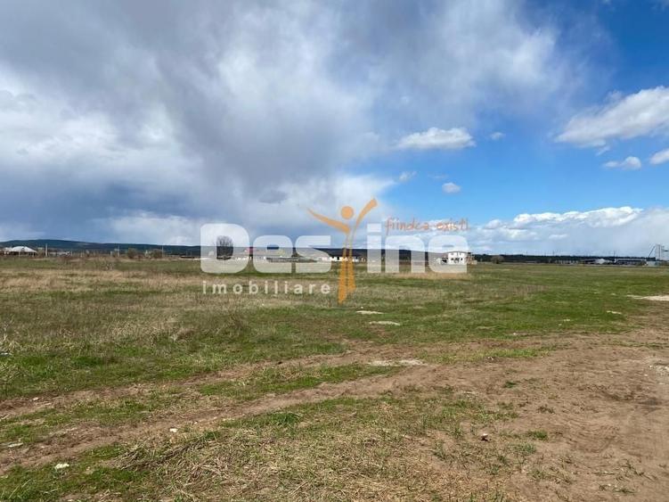 Teren Construcții intravilan de 900 mp, în Dumbrava Roșie