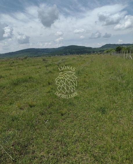 Teren agricol extravilan de 23700 mp, în Jelna