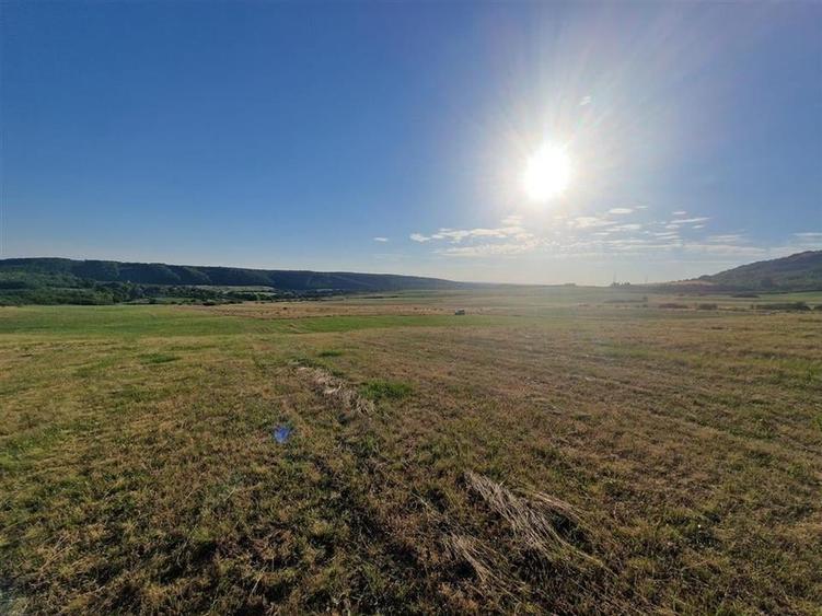 Teren Construcții intravilan de 13234 mp, în Betfia