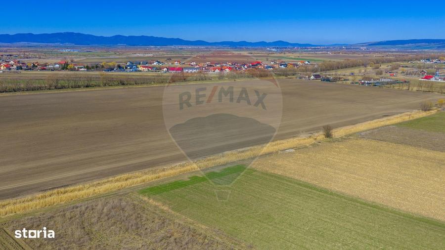 Teren de 10000 mp, în Bod