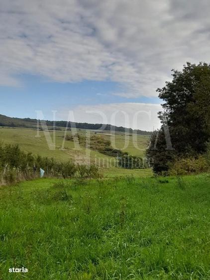 Teren intravilan agricol de vanzare in Betfia Bihor , Oradea - 5