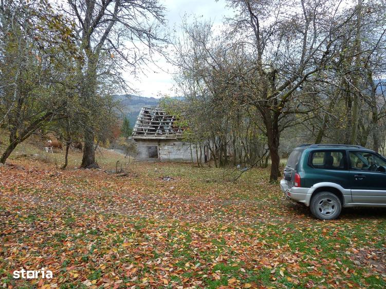 Teren de 44025 mp, în Scărișoara