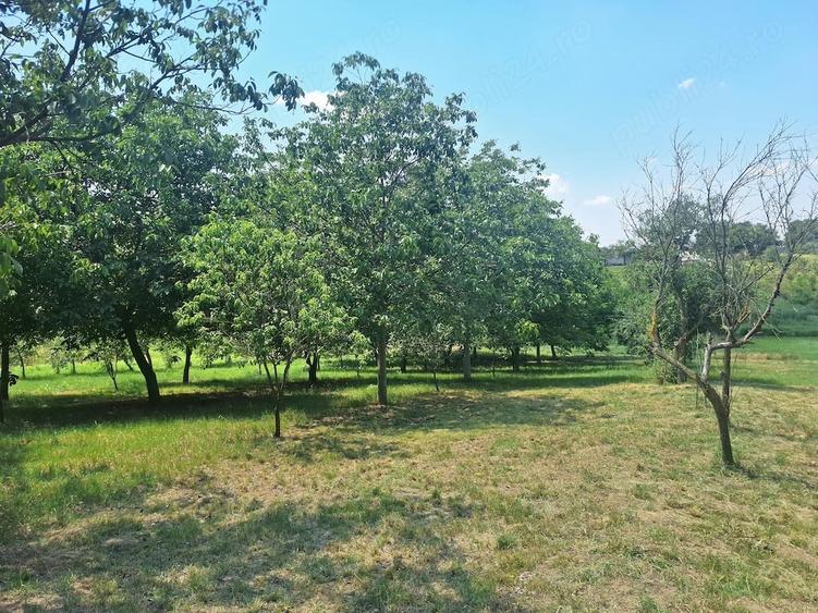 Casă cu Teren 5095 Mp în Călacea