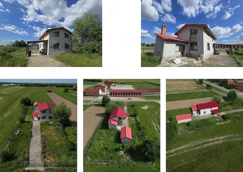 Casă cu Teren 1450 Mp în Ohaba-Forgaci