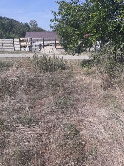 Teren de 6881 mp, în Odaia Banului