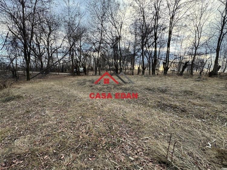 Casă cu Teren 3074 Mp în Cornu