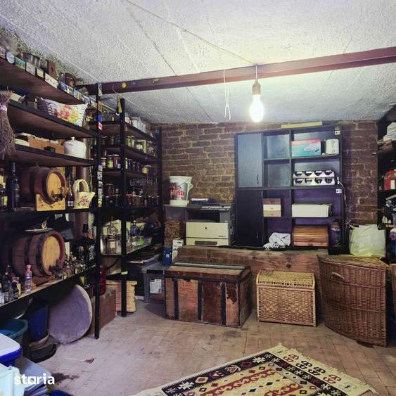 Casa central str. Obedeanu in spatele Gradinii Botanice. - 1