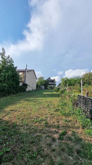Casă cu Teren 1500 Mp în Tâncăbești
