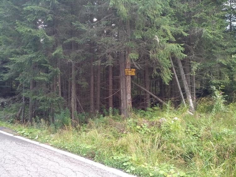 Teren în Vidra