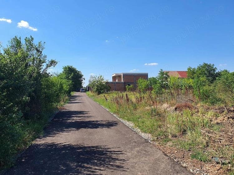 Teren de 2637 mp, în Lilieci