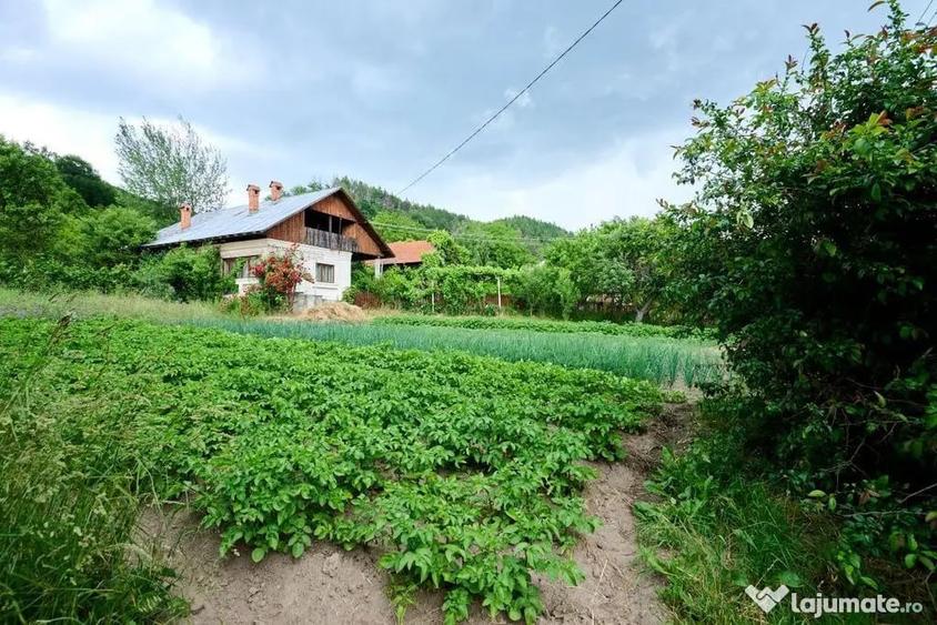 Casa cu teren generos - 4696 mp Apa Sarata - Campulung !! - 2