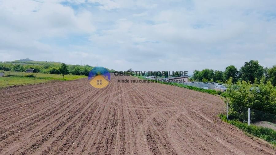 Teren intravilan de 12300 mp, în Cârligi