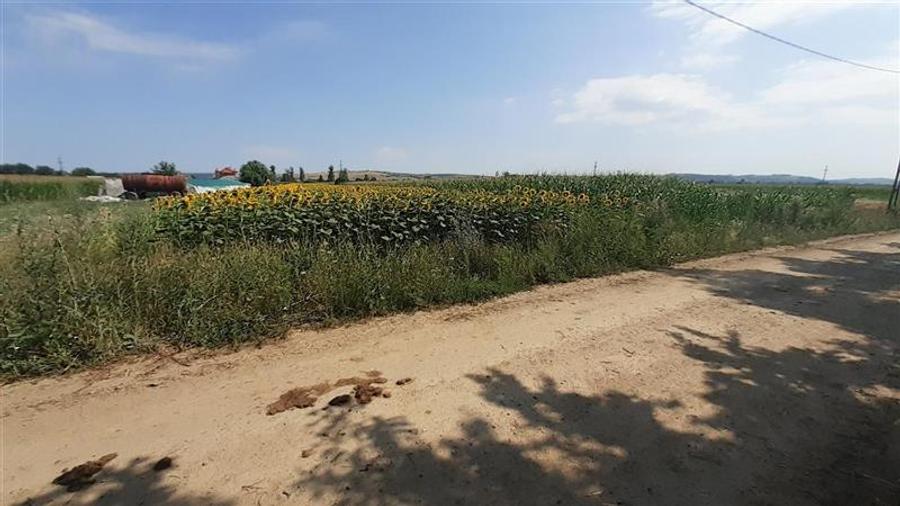 Teren agricol intravilan de 4971 mp, în Chiribiș