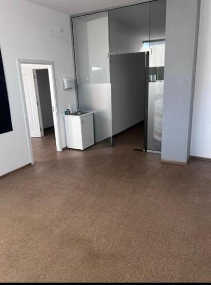 Spațiu comercial, de 325 mp, în Delfinariu