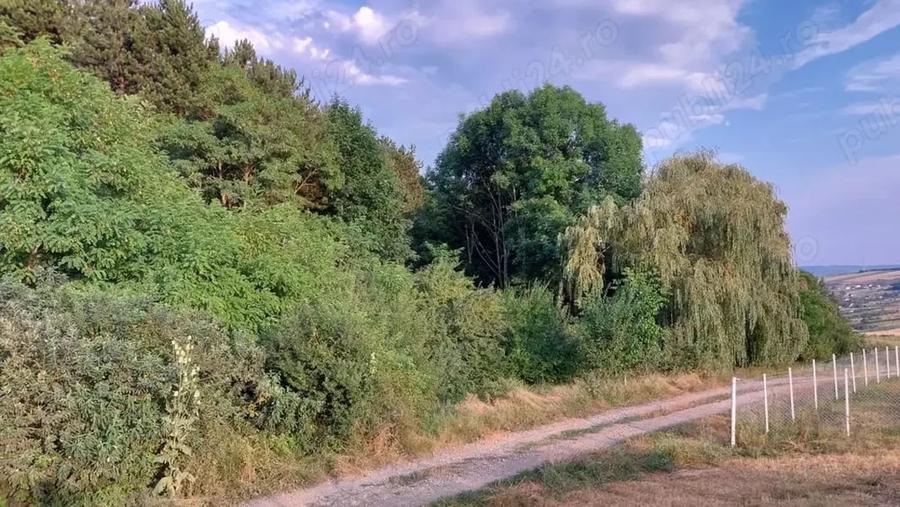 Teren în Nord