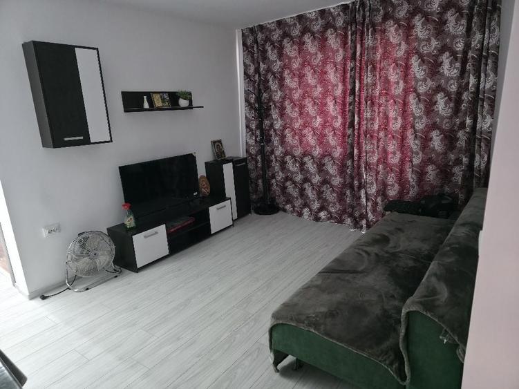 Apartament 2 camere etaj 1 viziru - 2